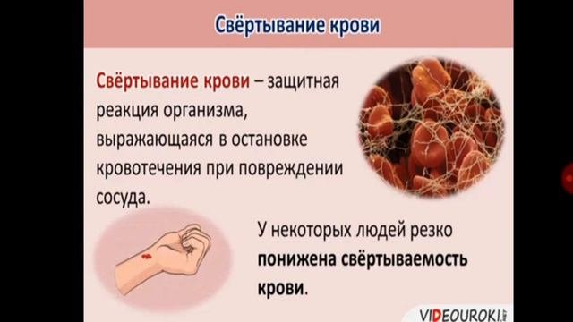 Морфофункциональная характеристика форменных элементов крови и лимфы- Абдилкасимов  А.
