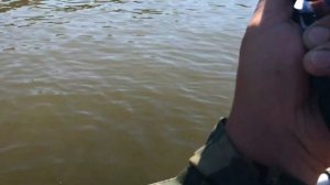 Отвесное блеснение с лодки