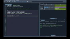How to write a downsampled video in Python - Part03