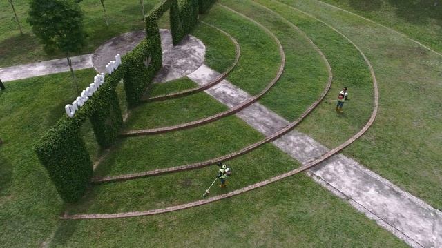 ECHO tools backpack brushcutters in action. See what features and advantages make them special. смотреть онлайн