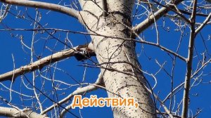 Вербное воскресенье# Сергей Кузнецов