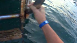 Турция. Алания.Diamond Hill Resort Hotel 5*. 2017 (день4)