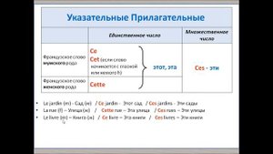Французский для начинающих, Урок 8, Указательные прилагательные
