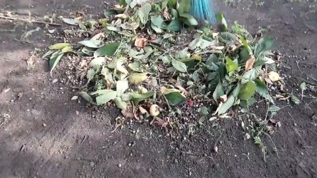 ОБРЕЗАЮ Сад Летом. Для дерева это лучше. смотреть онлайн