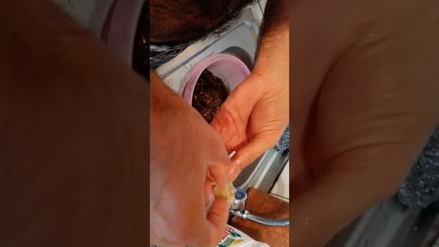 Как приготовить омар смотреть онлайн