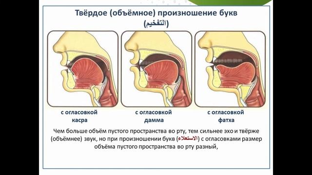 Урок 56. Законы твёрдого(объёмного) и мягкого произношения букв (التفخيم).