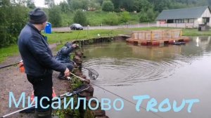 Мисайлово Trout. Утро. Клёв форели