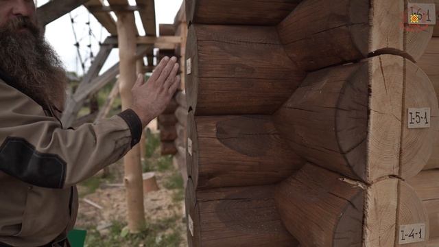 Зауголки вылеты