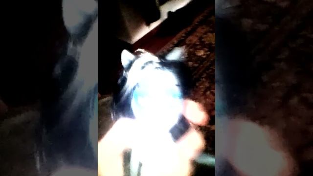 Как скрыть лысину кукле ? смотреть онлайн