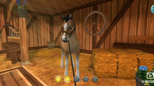 Выращиваем жеребенка северо-шведской лошади ? Star Stable Horses