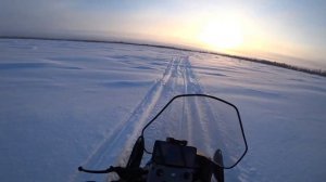 Съездил к ненецким чумам на снегоходе стелс капитан 200 | Салехард | Ямал | Stels капитан 200