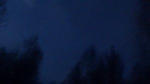 Манки на вальдшнепа, тестирование на реальной охоте