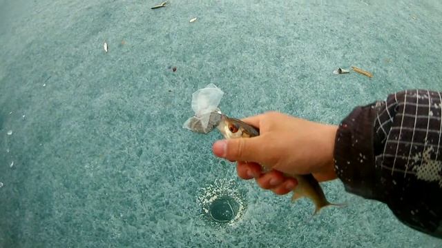 Вечерняя ловля крупной плотвы. Последний лёд! Тургояк