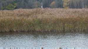 Какая рыба клюет в ноябре? Какую рыбу ловить осенью в ноябре? Какая рыба перестает клевать в ноябре