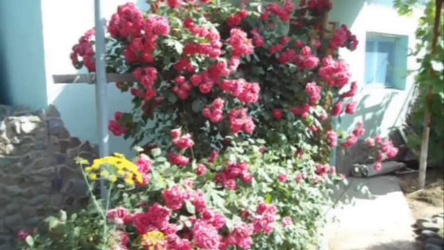 Короткий ремикс канала Tatiana Osokina Пенсионные будни и раз смотреть онлайн