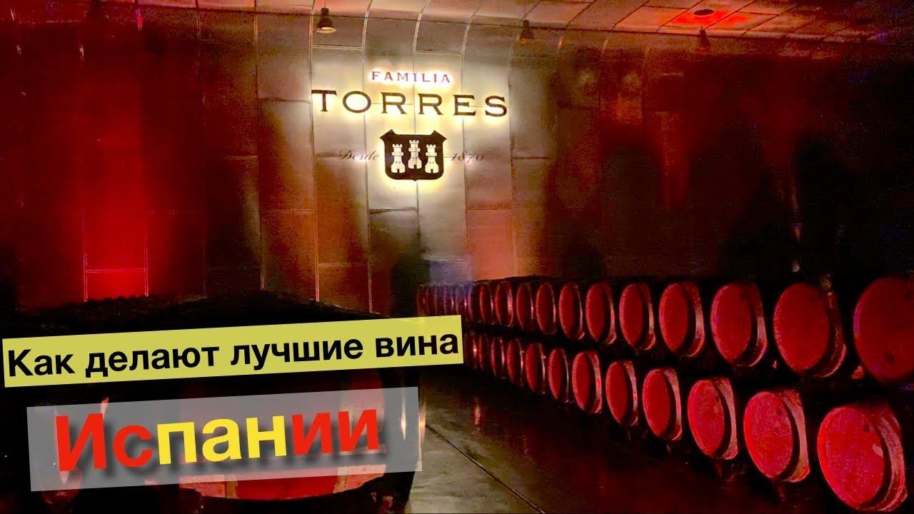 Torres винодельня - лучшее вино Испании | раскрываем секреты, как делают легендарные вина