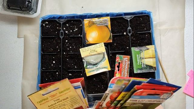 Поздно сею семена овощей. Трудный выбор томатов. О блогерах - огородниках. смотреть онлайн