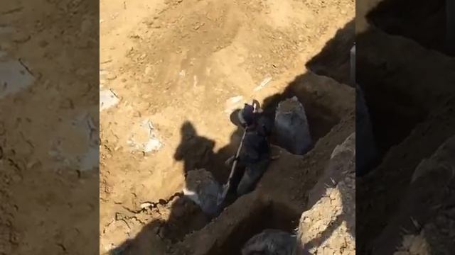 Окапывание оголовков свай смотреть онлайн