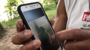 Жизнь в СТРАННОМ городе Баффало и штате Нью Йорк, часть 2. И немного третьего сезона Твин Пикс:)