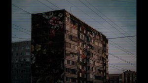 Телеэкран-тысяча дешёвых зажигалок(radio,doomer)