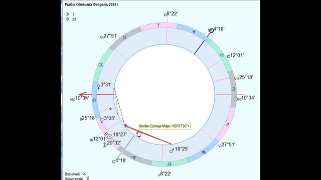 Рыбы Обезьяна на Февраль 2021 г 80 мин от J Dzay смотреть онлайн