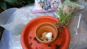 Работа над ошибками:Правильная посадка толумнии