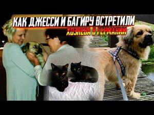 Та самая Джесси с тысячами клещей доехала в Германию и Багира тоже. Долгожданная встреча