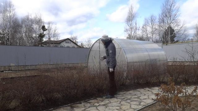 Обрезка кустарников. Живая изгородь-свободнорастущая. Спирея серая смотреть онлайн