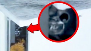 Страшные Видео Которые Вы Не Сможете Смотреть В Одиночку