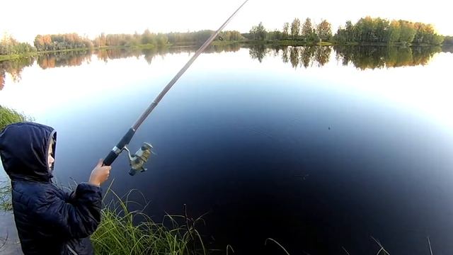 Пескарь Иванович