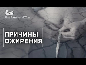 Причины ожирения