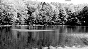 ПОСМОТРЮ Я НА ФОТО И НАЧНУ ВСПОМИНАТЬ...