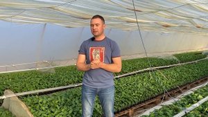 СДЕЛАЙ ЭТО ДЛЯ качественной рассады перца Вангард и Марек