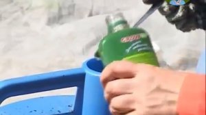 Посадка кабачков с Октябриной Ганичкиной  Голландские семена кабачков
