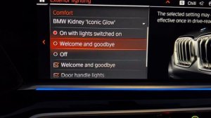 Configure The BMW Kidney “Iconic Glow” Grille 2022 X6 with Headlights On