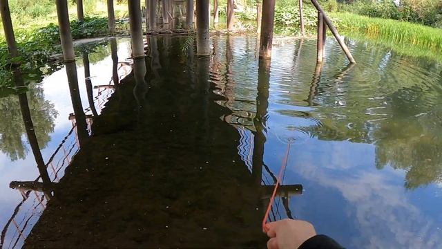 ПОИСКОВЫЙ МАГНИТ СТОИТ ЛИ ЕГО ПОКУПАТЬ?? ПОКАЗЫВАЮ И РАССКАЗЫВАЮ О СВОЁМ ОПЫТЕ ПОИСКА МЕТАЛЛА