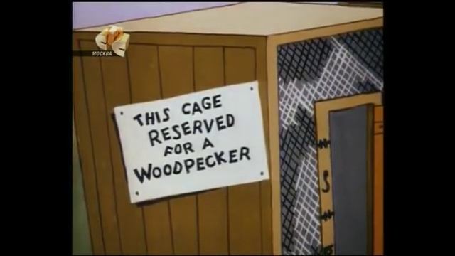 Дятел Вуди Вудпекер с 121 125 серию смотреть онлайн