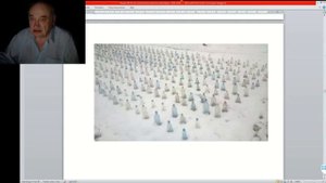 25 ч 05 Опыт спасения абрикосов от выпревания.mp4