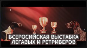 Всероссийская выставка легавых собак и ретриверов памяти И.С.Тургенева  2-3 сентября 2023г.