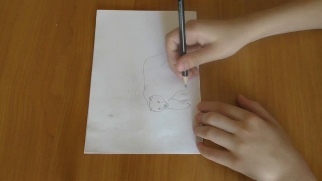 Ребенок рисует карандашом наброски животных смотреть онлайн