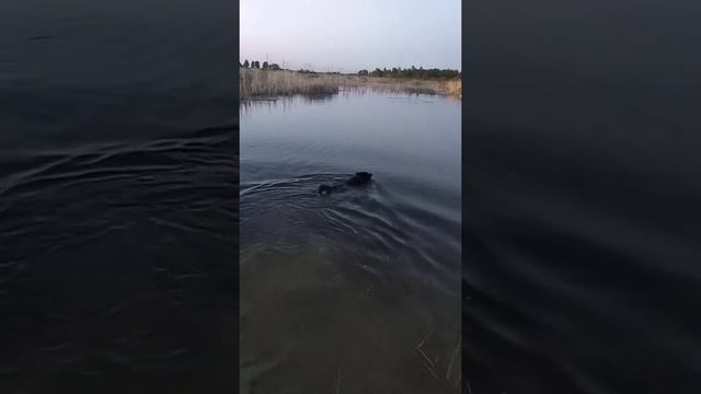Межсезонье с РЕЛ. 2020