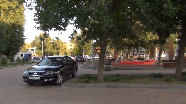 Переезд в Ростов-на-Дону: Амброзия - проблема Ростова