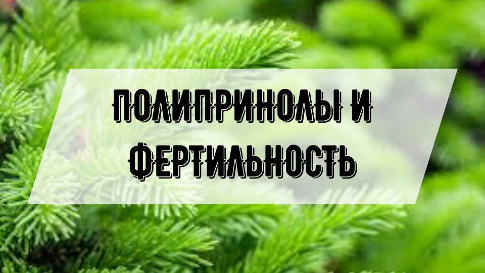 Полипренолы и фертильность