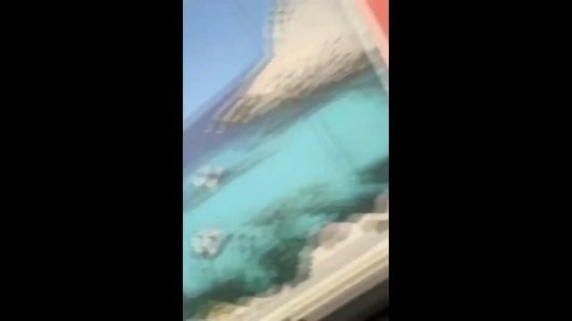 Хабиб и Ваня Дмитриенко отгадывают, что произойдет в конце видео / DFM смотреть онлайн