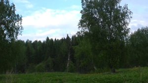 ШУРФ ФУНДАМЕНТА ДЕНЬ ПЕРВЫЙ.