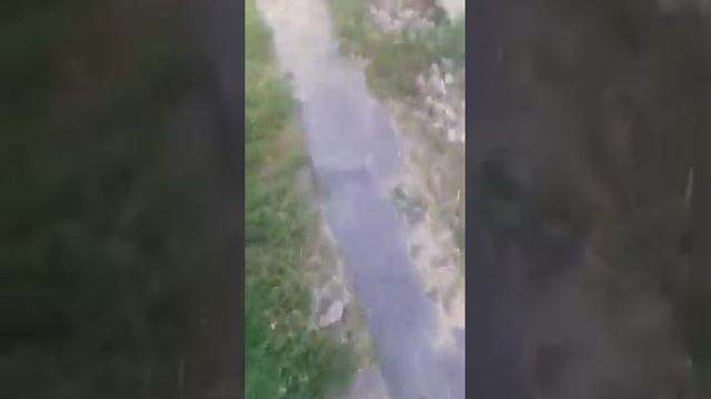 маляр-штукатур