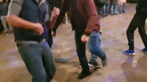 Туи дар дехаи Гулистон