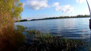 СУПЕР РЫБАЛКА В ПРОВОДКУ НА РАКУШКУ. Попали на нереальный жор.
