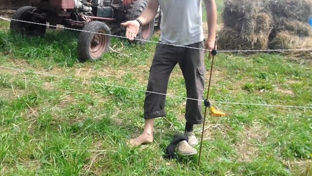 Электропастух в дейсвии (часть 1) смотреть онлайн