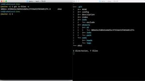 Git Core Concepts 6/7: Live Demo in the Command Line